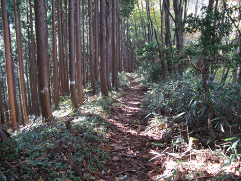 20171102hike (163)